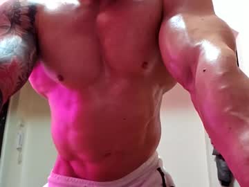 adonis msc