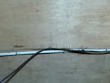 anacumonu69