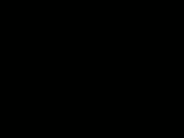 andreli03