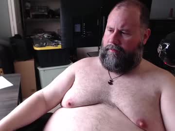 floridabearlive