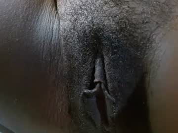 gatita 1997