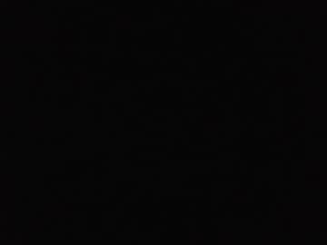 lizapro3400