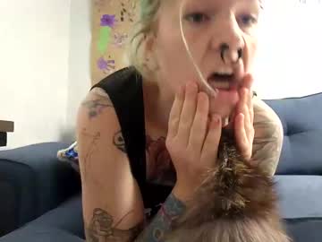 lunaraccoona