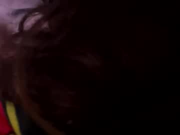 petgroomer1
